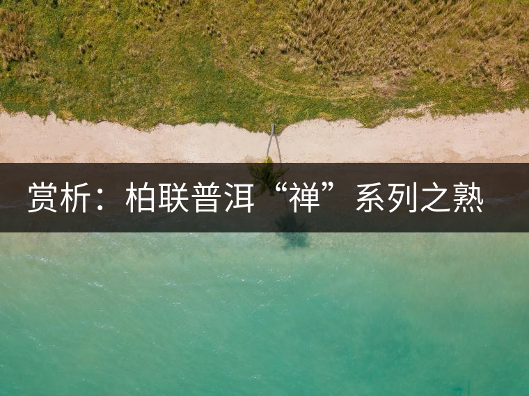 賞析：柏聯(lián)普洱“禪”系列之熟茶
