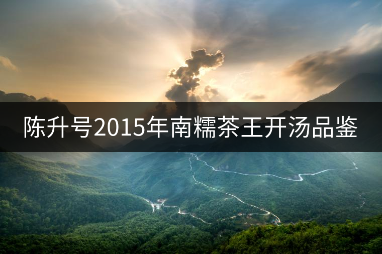 陳升號(hào)2015年南糯茶王開湯品鑒