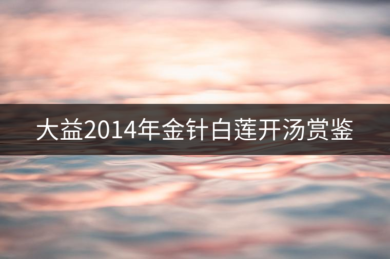 大益2014年金針白蓮開湯賞鑒 大益2014年金針白蓮開湯賞鑒