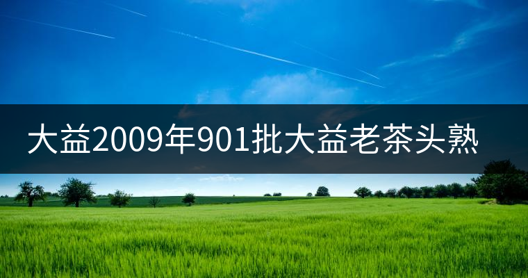 大益2009年901批大益老茶頭熟磚