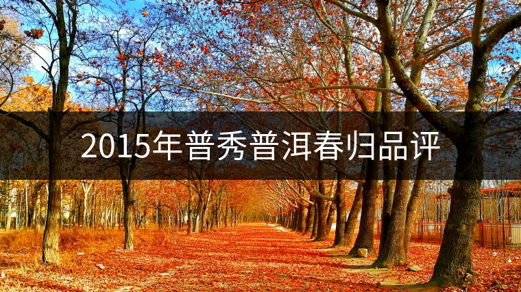 2015年普秀普洱春歸品評