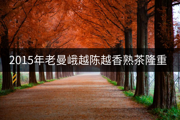 2015年老曼峨越陳越香熟茶隆重上市！