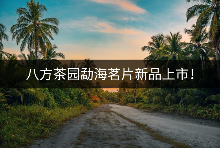 八方茶園勐海茗片新品上市！