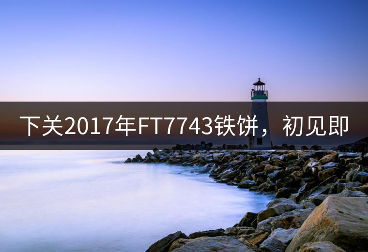 下關(guān)2017年FT7743鐵餅，初見即傾城!
