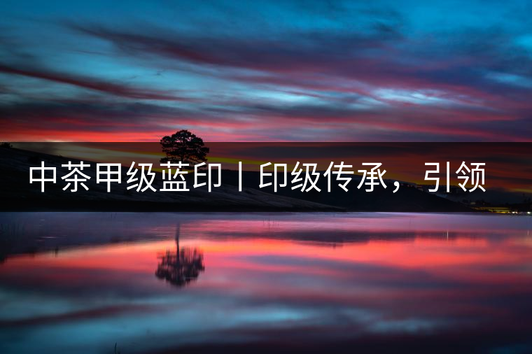 中茶甲級藍印丨印級傳承，引領(lǐng)風(fēng)韻