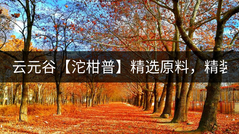 云元谷【沱柑普】精選原料，精裝上市！