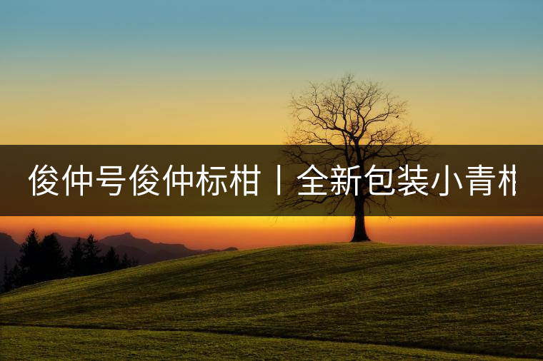 俊仲號俊仲標(biāo)柑丨全新包裝小青柑震撼上市！