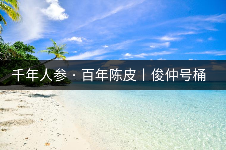 千年人參 · 百年陳皮丨俊仲號桶裝柑普茶豈止于大！