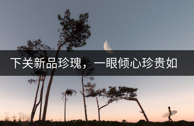 下關(guān)新品珍瑰，一眼傾心珍貴如你