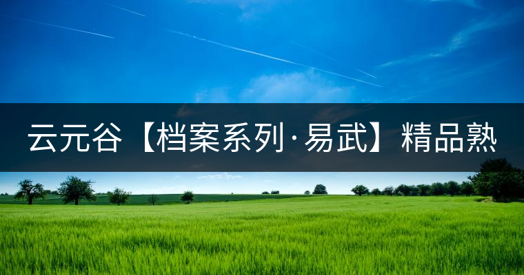 云元谷【檔案系列·易武】精品熟茶，精裝上市！