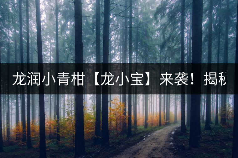 龍潤(rùn)小青柑【龍小寶】來襲！揭秘它的前半生！