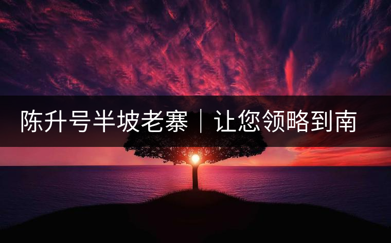 陳升號半坡老寨｜讓您領(lǐng)略到南糯山大樹茶口感的地道！