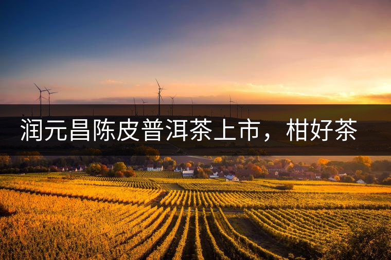 潤元昌陳皮普洱茶上市，柑好茶更好，精品普洱茶