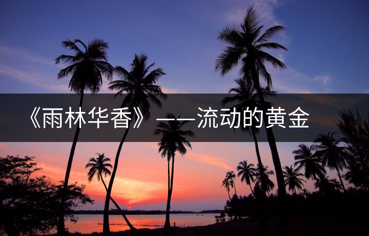 《雨林華香》——流動(dòng)的黃金 唱歌的絲綢 《雨林華香》——流動(dòng)的黃金 唱歌的絲綢