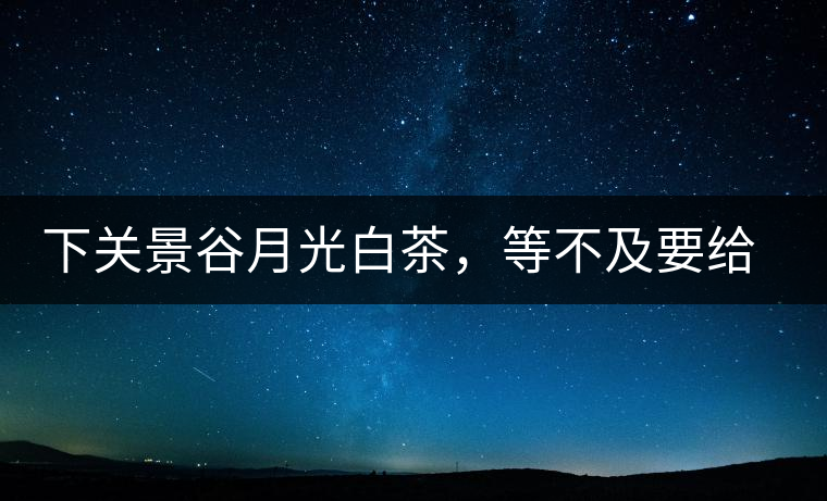 下關(guān)景谷月光白茶，等不及要給你的思念