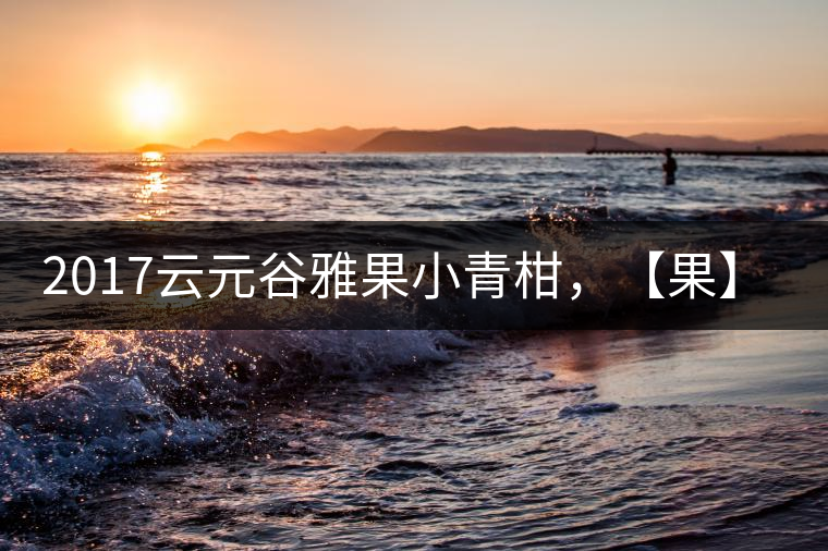 2017云元谷雅果小青柑，【果】真來了
