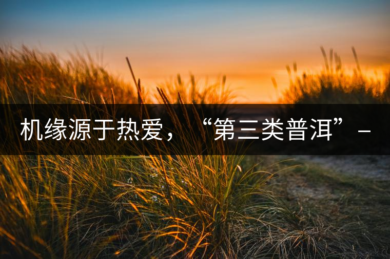 機(jī)緣源于熱愛(ài)，“第三類(lèi)普洱”——“散壓茶TM”的誕生。