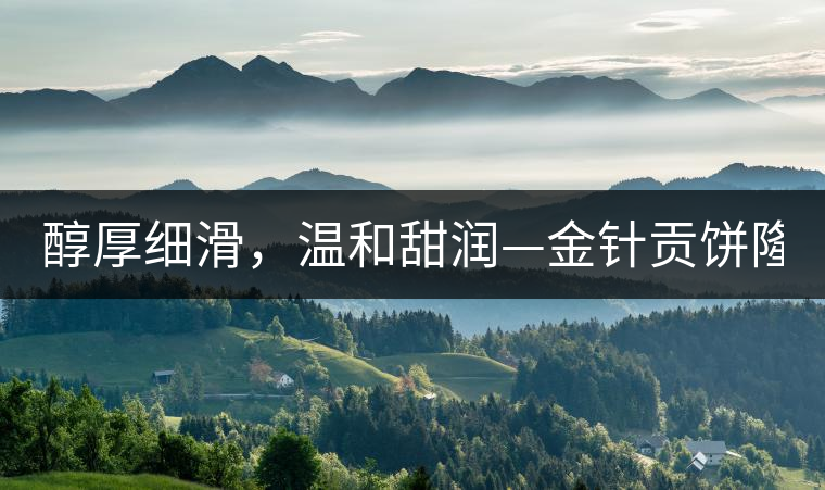 醇厚細(xì)滑，溫和甜潤(rùn)—金針貢餅隆重上市！