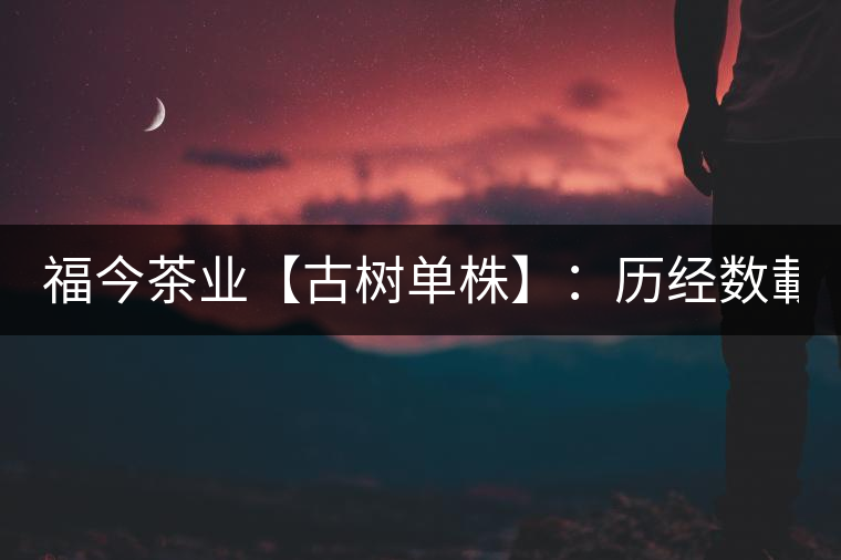 福今茶業(yè)【古樹單株】：歷經(jīng)數(shù)載  終將成器