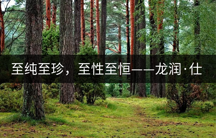 至純至珍，至性至恒——龍潤·仕通茶新上市！