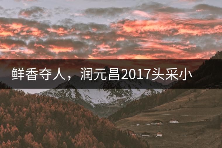 鮮香奪人，潤(rùn)元昌2017頭采小青柑即將上市
