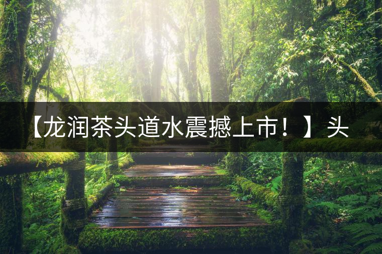 【龍潤茶頭道水震撼上市！】頭道水，二道茶，三道四道是精華！