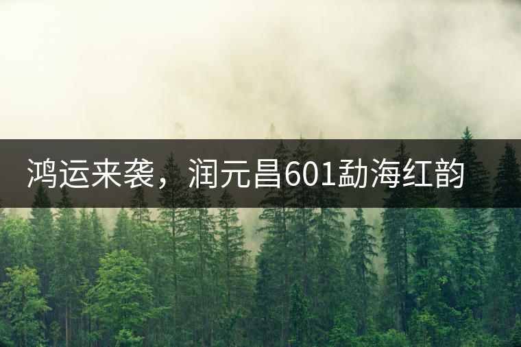 鴻運(yùn)來襲，潤元昌601勐海紅韻熟茶即將上市