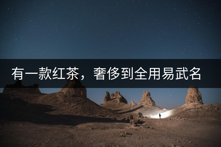 有一款紅茶，奢侈到全用易武名寨古樹茶發(fā)酵！