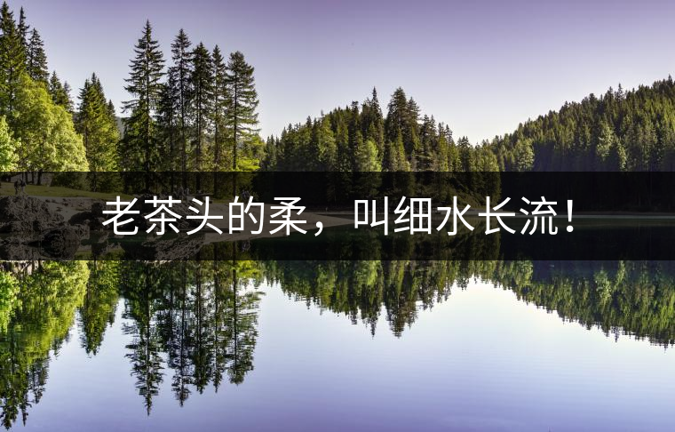 老茶頭的柔，叫細(xì)水長流！