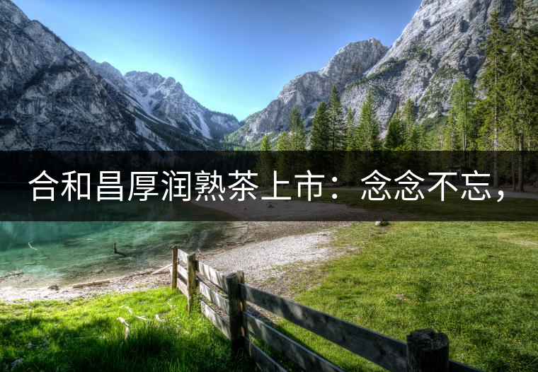 合和昌厚潤熟茶上市：念念不忘，必有回響！