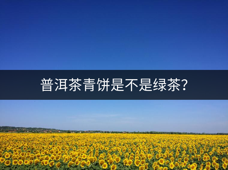 普洱茶青餅是不是綠茶？
