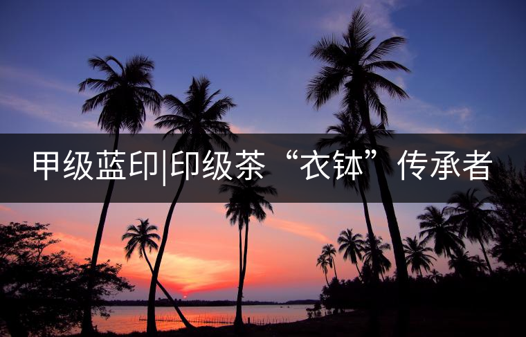 甲級藍(lán)印|印級茶“衣缽”傳承者