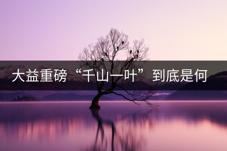 大益重磅“千山一葉”到底是何方神圣？