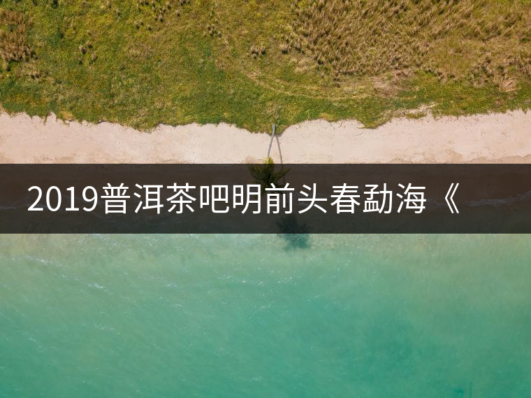 2019普洱茶吧明前頭春勐?！对鹿獍住钒撞鑳?yōu)惠訂購(gòu)
