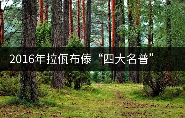 2016年拉佤布傣“四大名普”之拉祜神茗上市