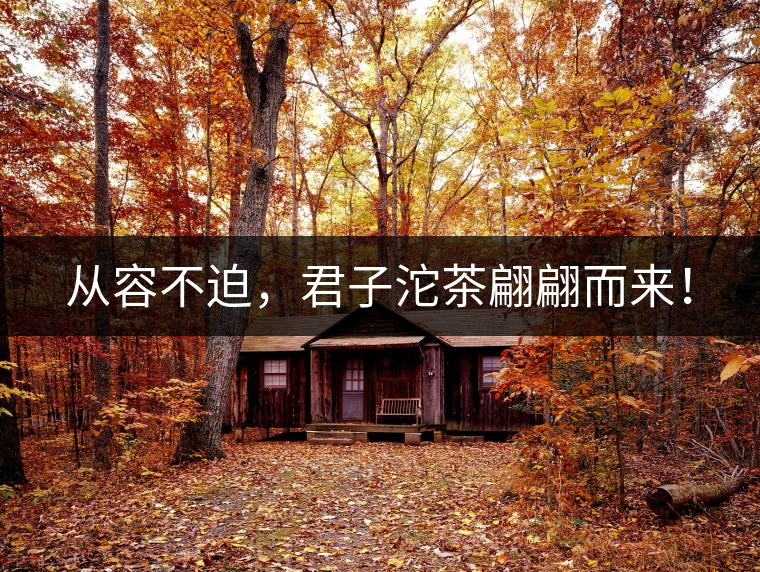 從容不迫，君子沱茶翩翩而來！