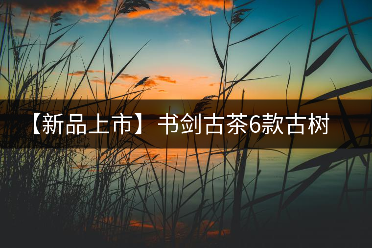 【新品上市】書劍古茶6款古樹早春茶重磅來襲！