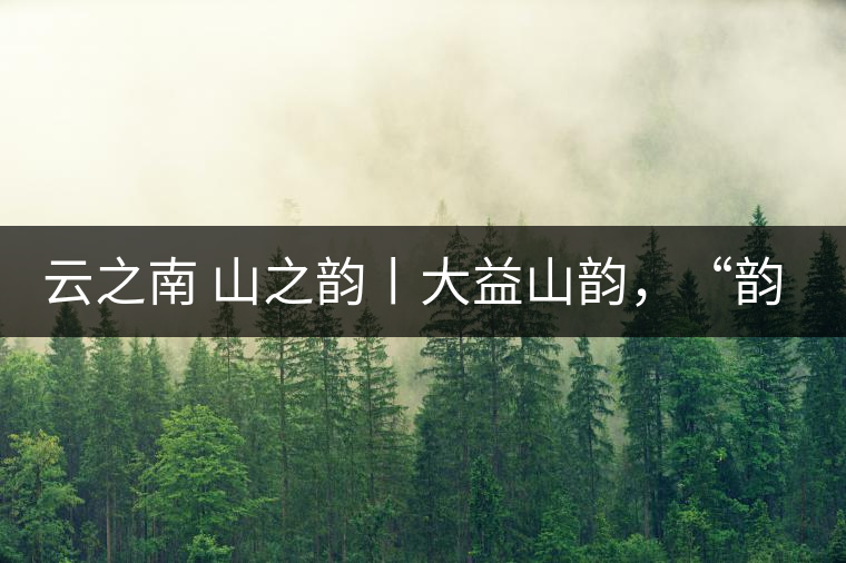 云之南 山之韻丨大益山韻，“韻”味傳奇之山韻歸來(lái)