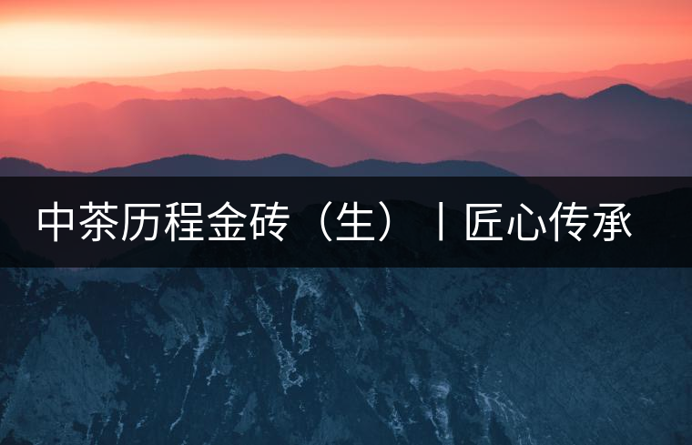 中茶歷程金磚（生）丨匠心傳承，精品迭出