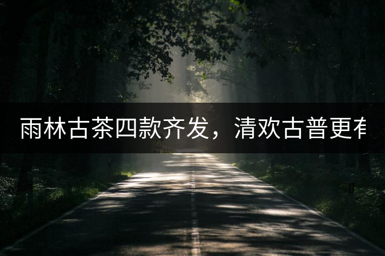 雨林古茶四款齊發(fā)，清歡古普更有味！