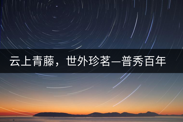 云上青藤，世外珍茗—普秀百年藤條茶即將上市