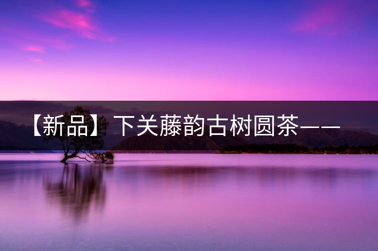 【新品】下關(guān)藤韻古樹圓茶——“千手觀音”臨世之風骨
