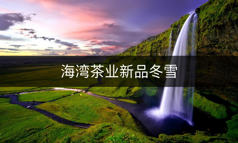 海灣茶業(yè)新品冬雪