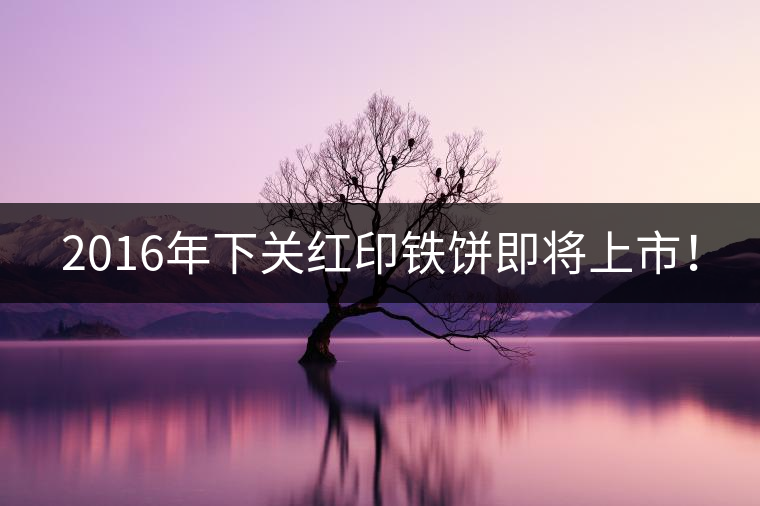 2016年下關(guān)紅印鐵餅即將上市！