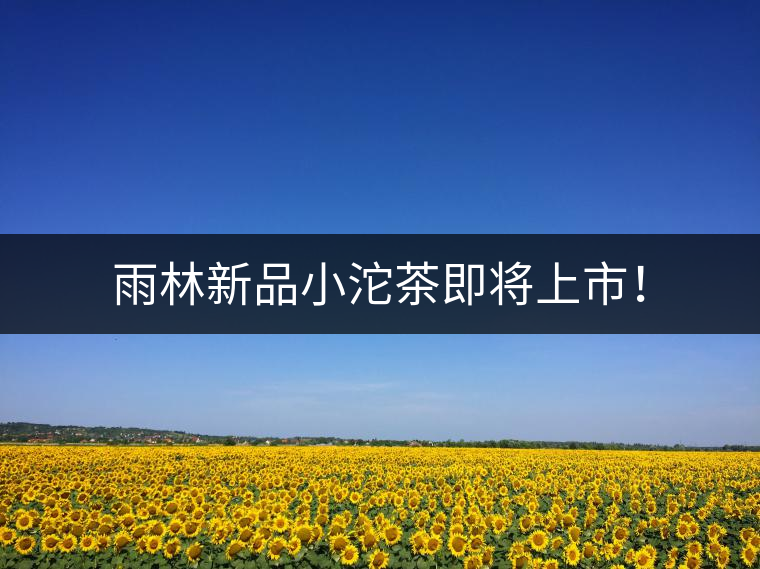 雨林新品小沱茶即將上市！