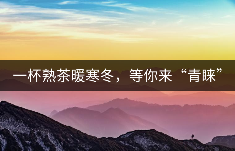 一杯熟茶暖寒冬，等你來“青睞”