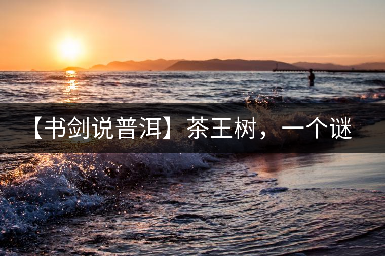 【書劍說普洱】茶王樹，一個(gè)謎一樣的地方