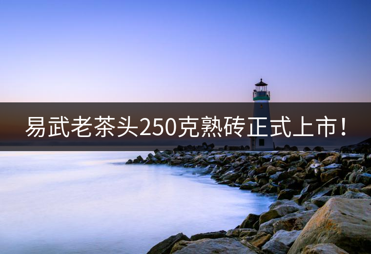 易武老茶頭250克熟磚正式上市！