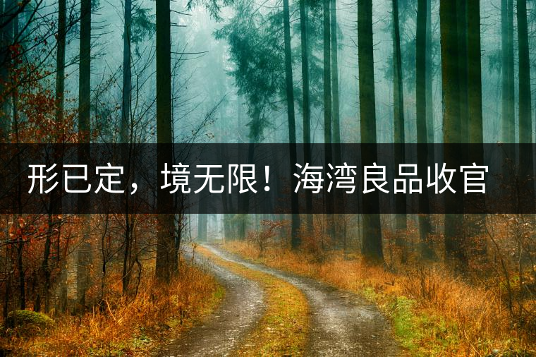 形已定，境無限！海灣良品收官季『良禪品』