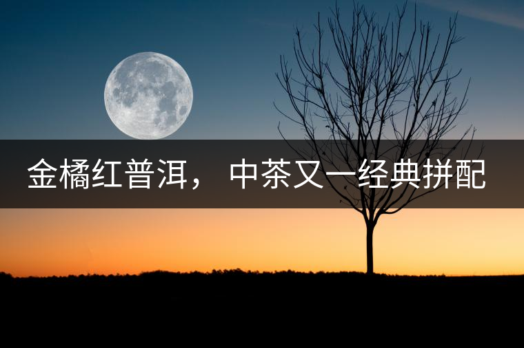 金橘紅普洱， 中茶又一經(jīng)典拼配力作，值得期待！